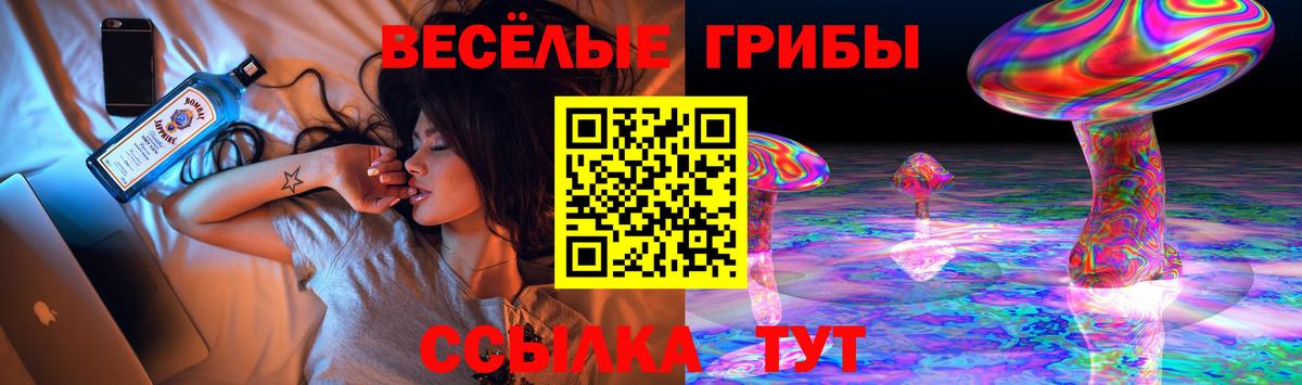 Псилоцибиновые грибы мицелий Десногорск